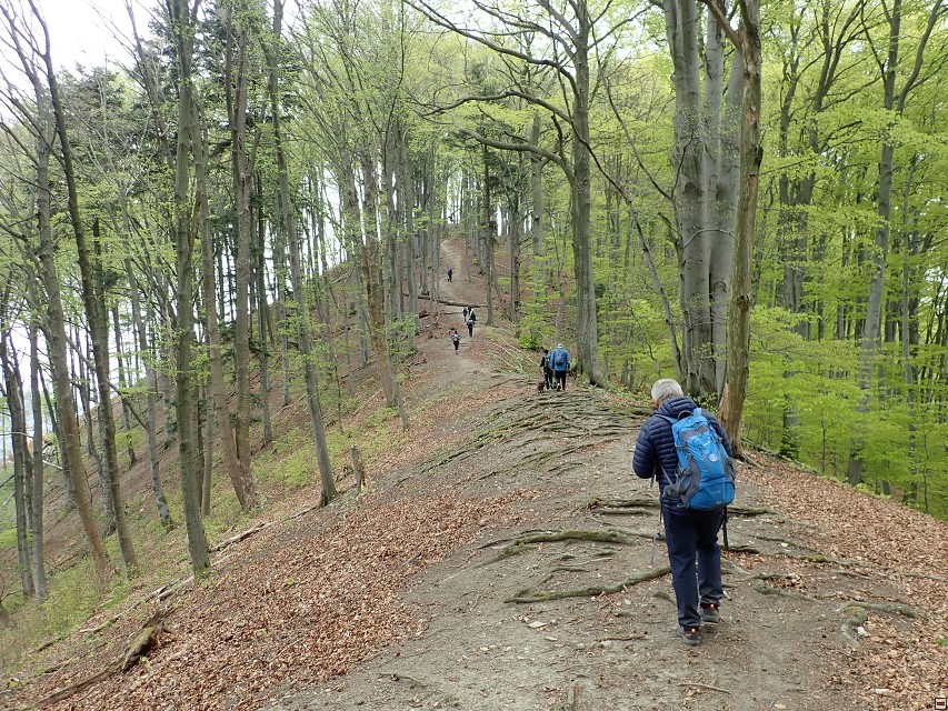 img00034.jpg