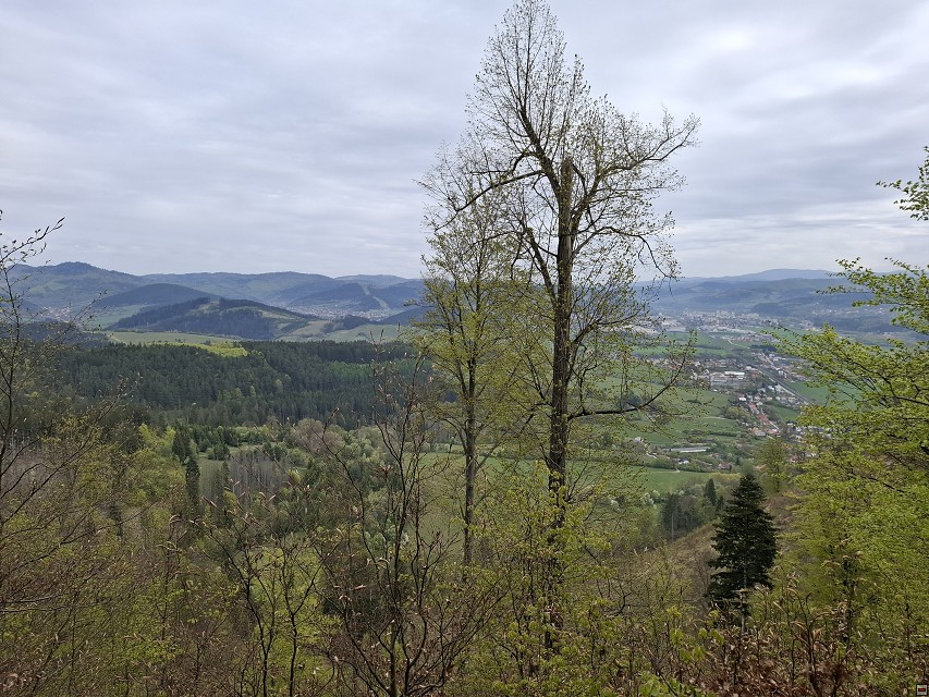 img00039.jpg