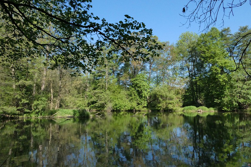 img00007.jpg