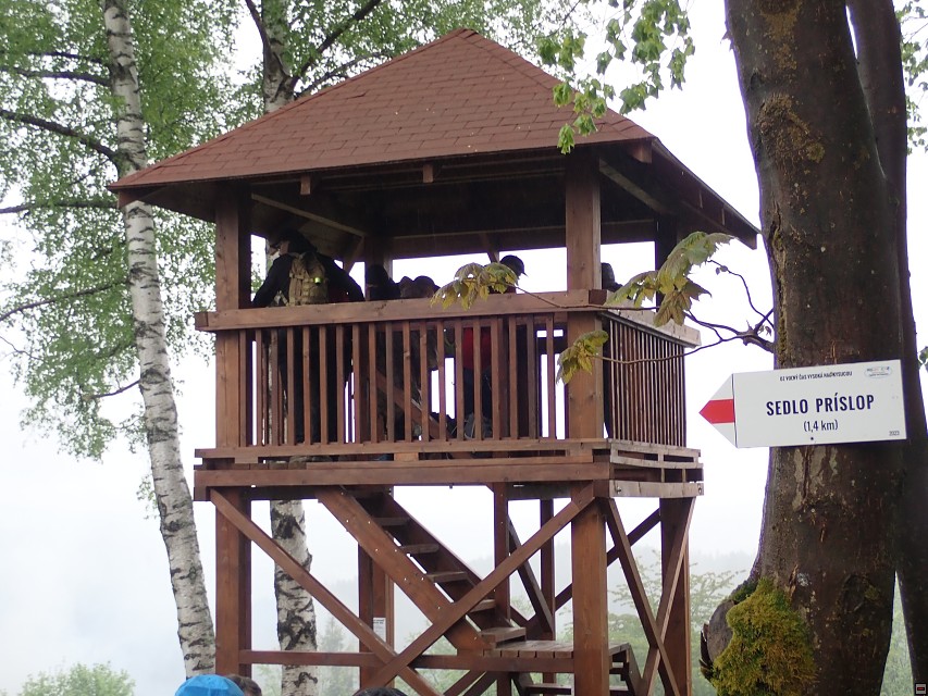 img00038.jpg
