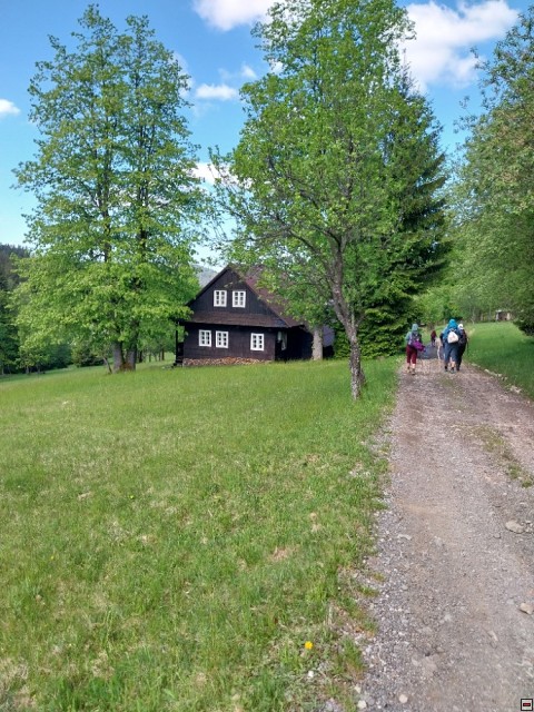 img00006.jpg