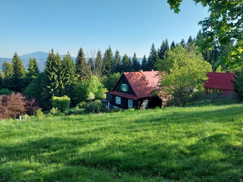 img00039.jpg