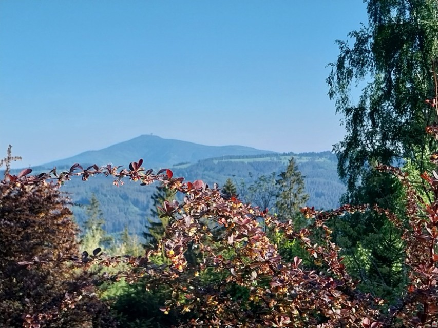img00045.jpg