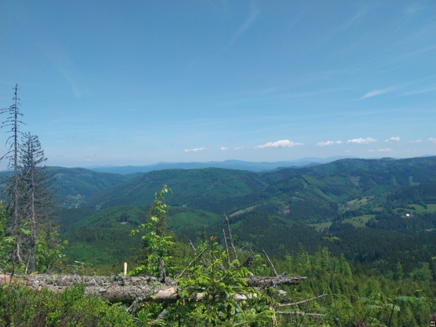 img00060.jpg