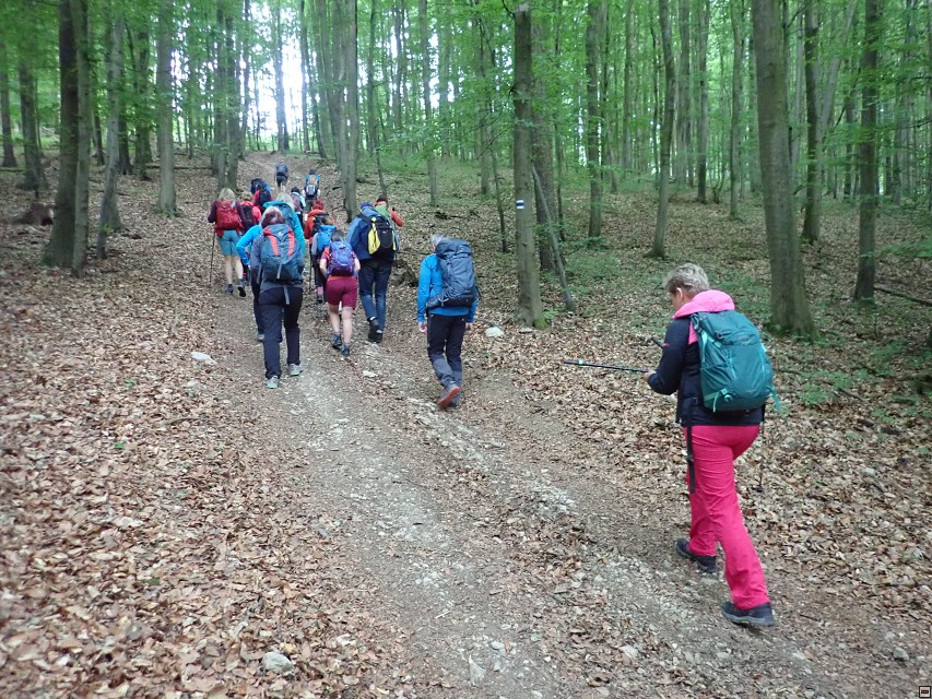 img00002.jpg