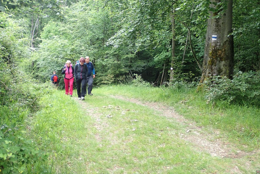 img00003.jpg