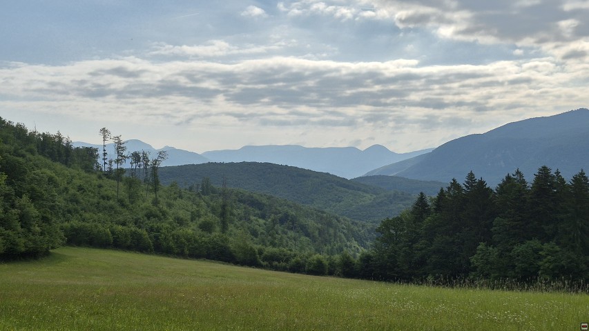 img00006.jpg