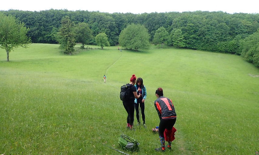 img00008.jpg