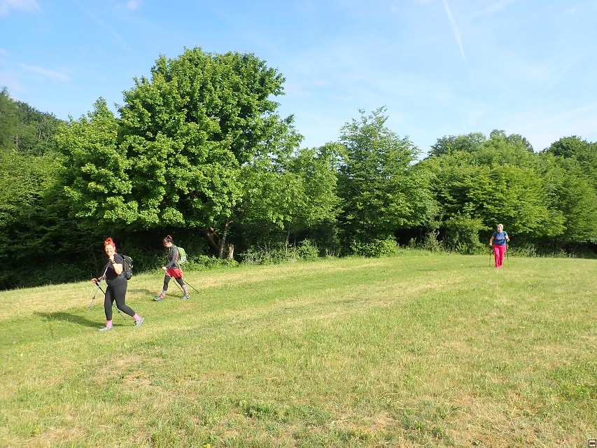 img00009.jpg