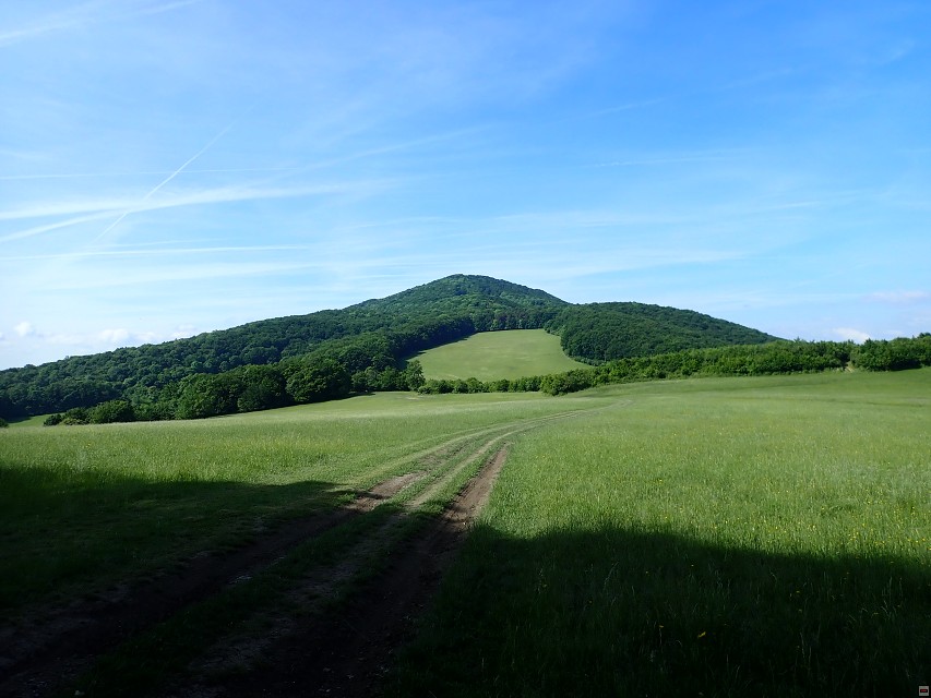 img00010.jpg