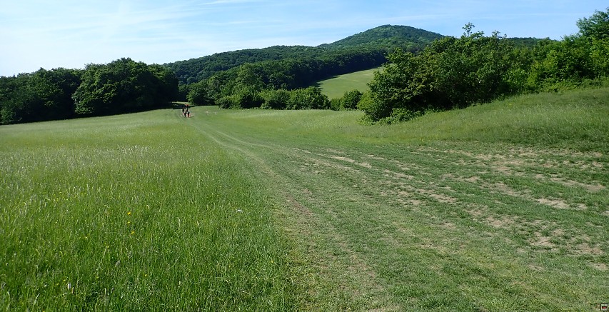 img00014.jpg