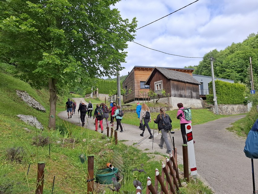img00020.jpg
