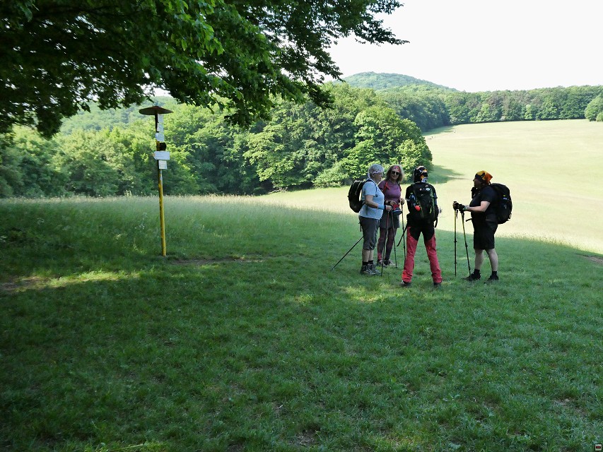 img00031.jpg