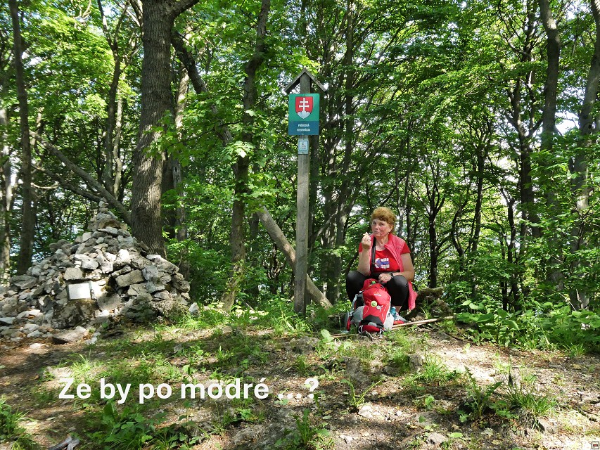img00040.jpg