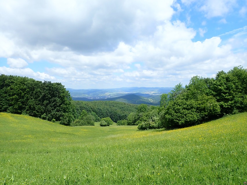 img00053.jpg