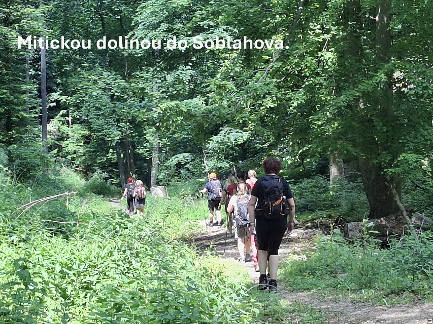img00064.jpg