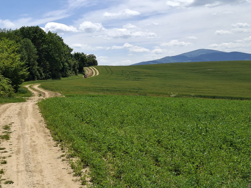 img00075.jpg