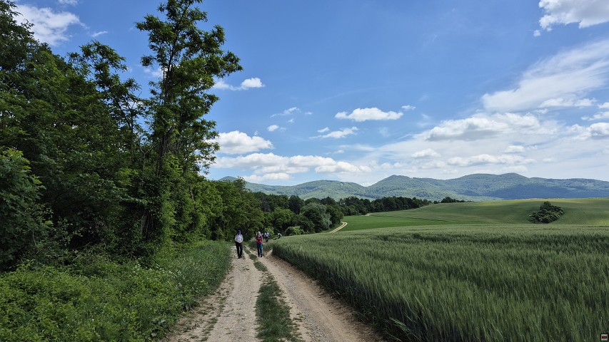 img00076.jpg