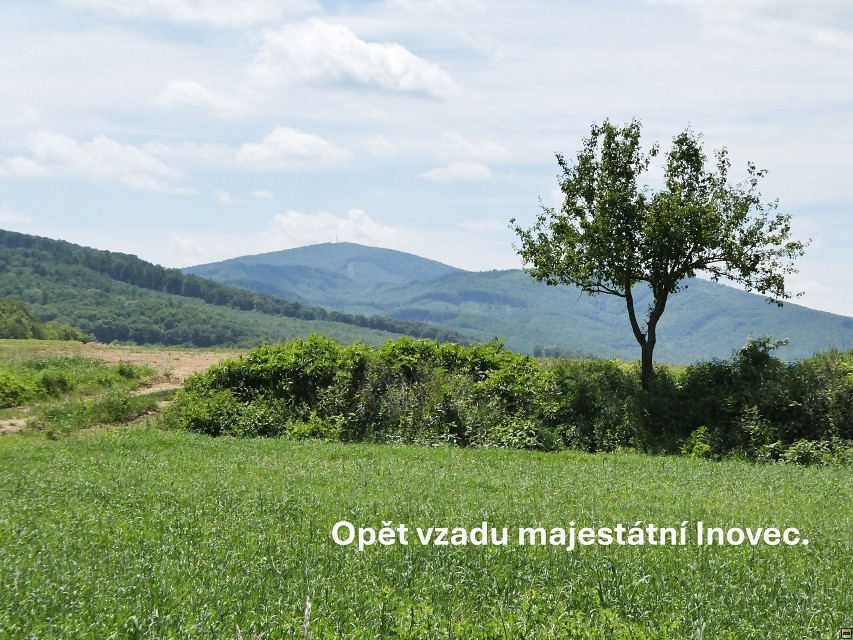 img00077.jpg
