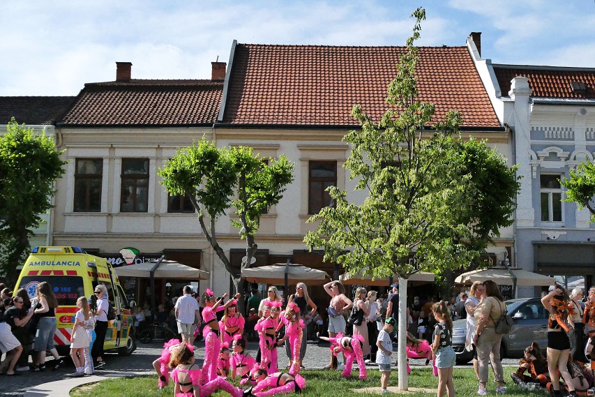 img00101.jpg
