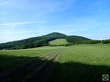 thn00010.jpg