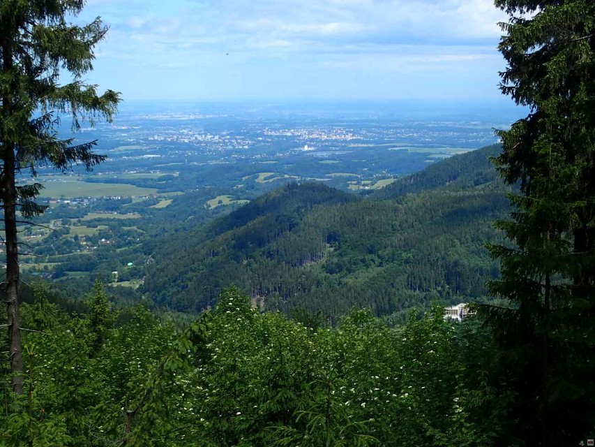 img00014.jpg