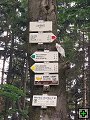 thn00010.jpg
