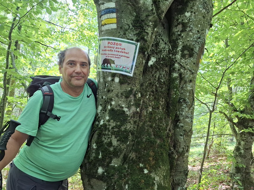 img00008.jpg