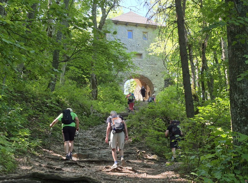 img00012.jpg