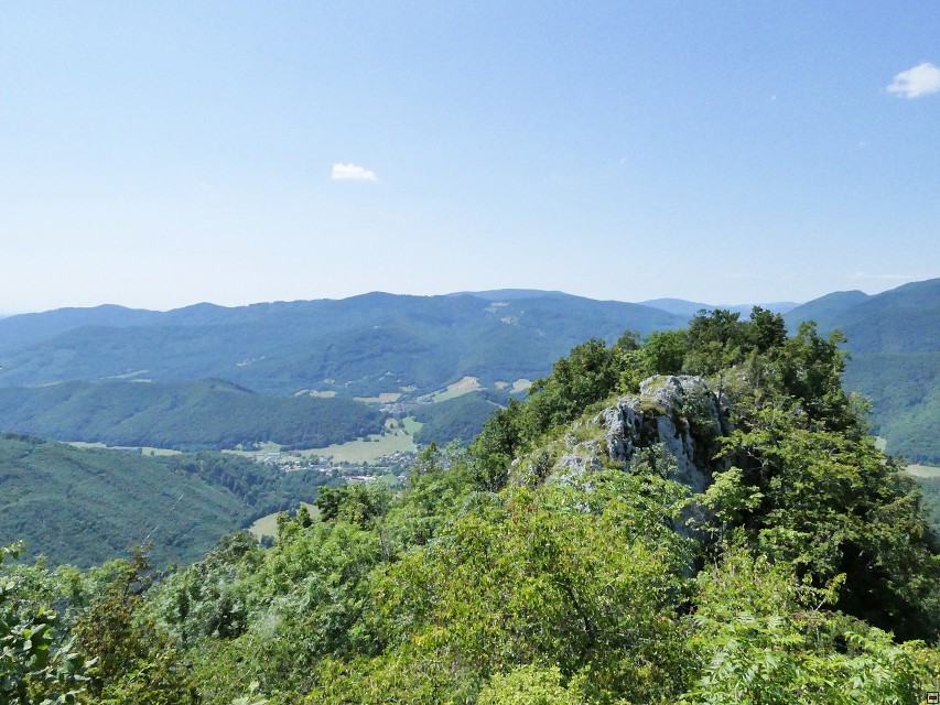 img00020.jpg