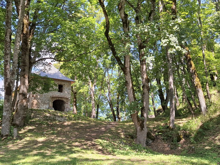 img00023.jpg