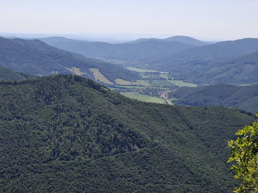 img00026.jpg