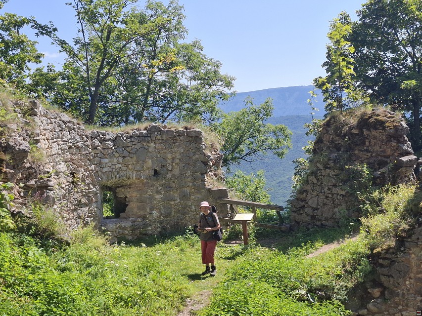 img00027.jpg