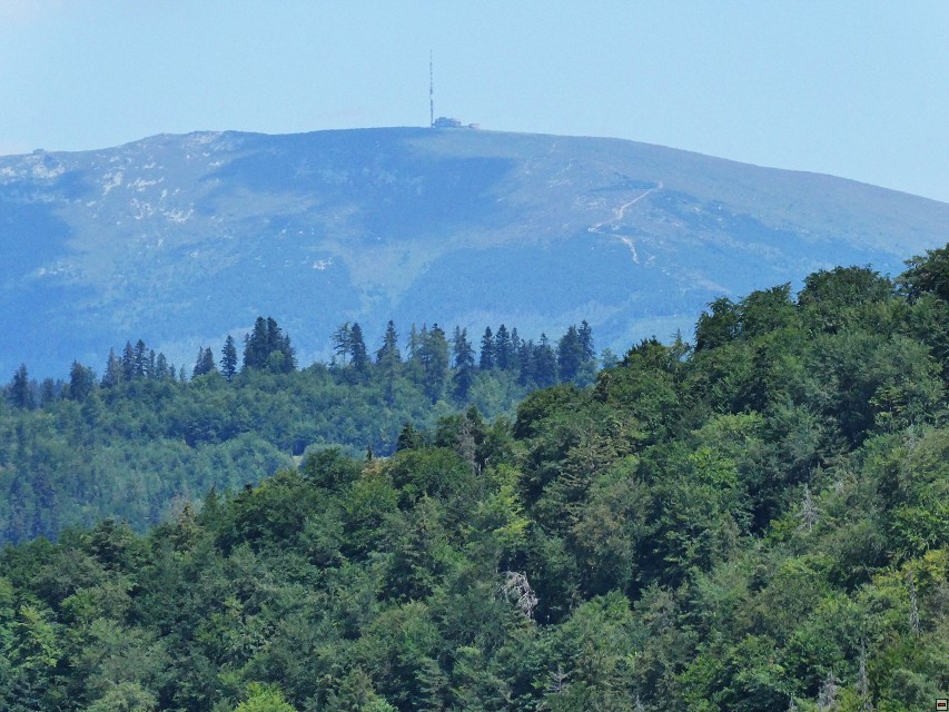 img00030.jpg