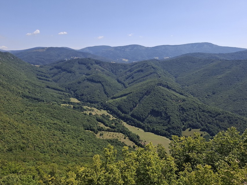 img00031.jpg