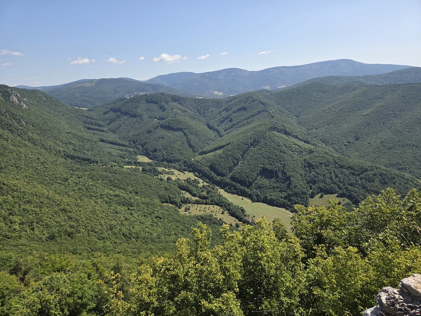 img00039.jpg