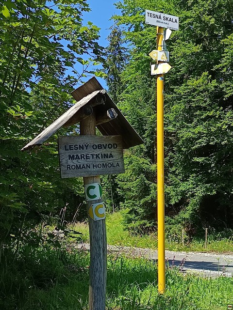 img00044.jpg