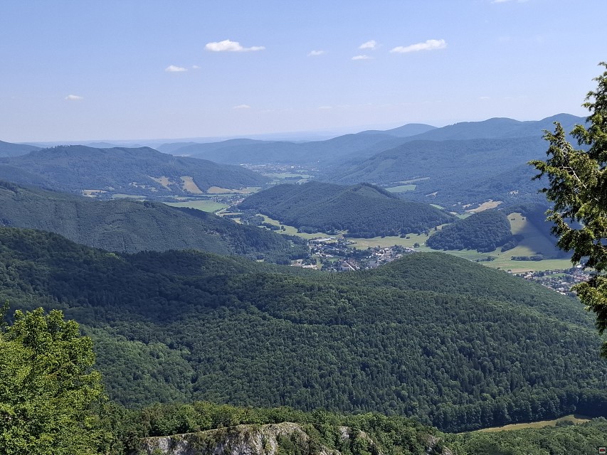 img00050.jpg