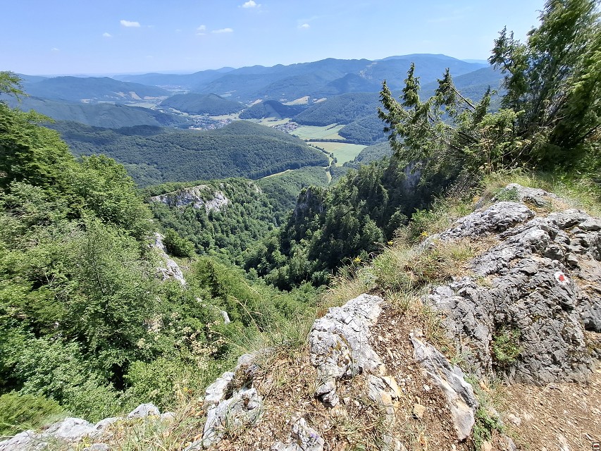 img00053.jpg