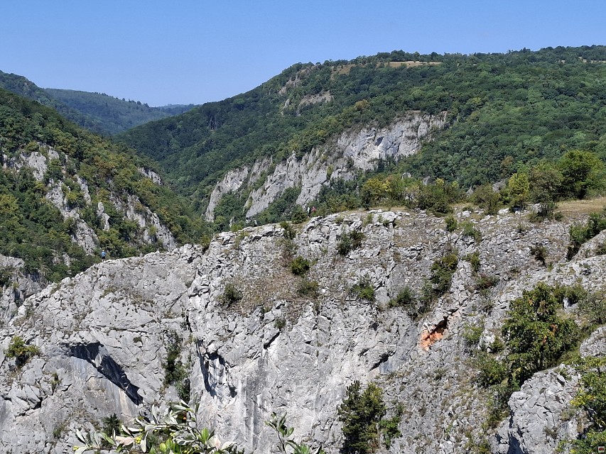 img00013.jpg