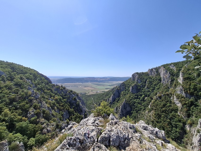 img00017.jpg