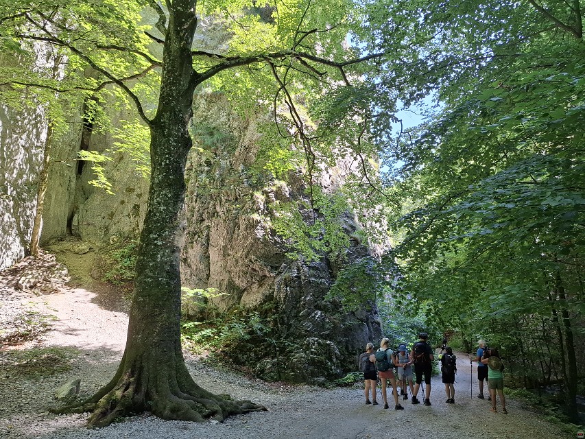 img00033.jpg
