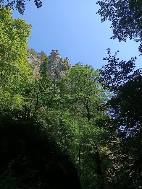 img00035.jpg