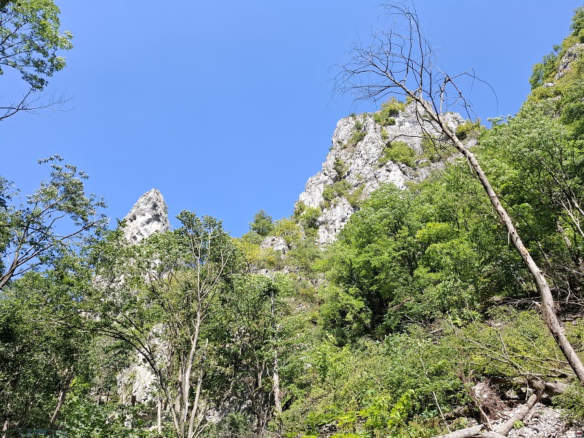 img00036.jpg