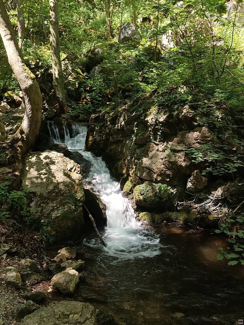 img00037.jpg