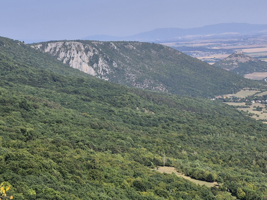 img00043.jpg