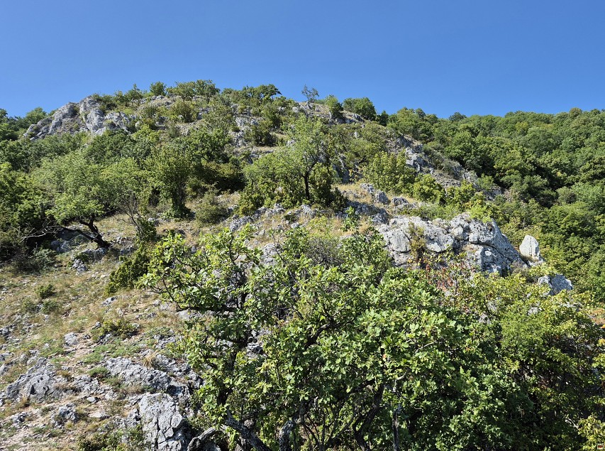 img00044.jpg
