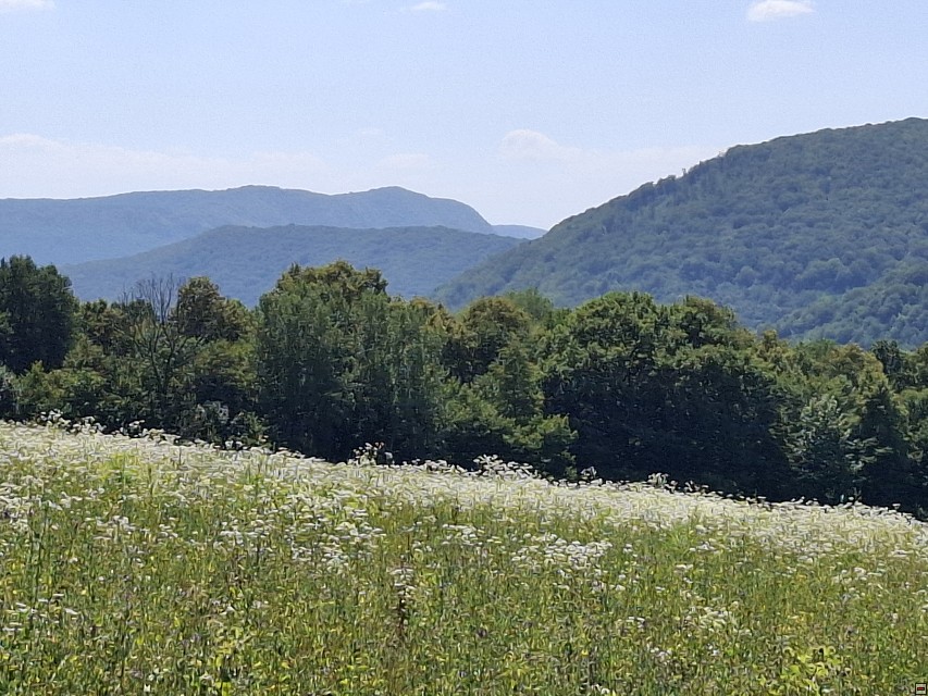 img00028.jpg