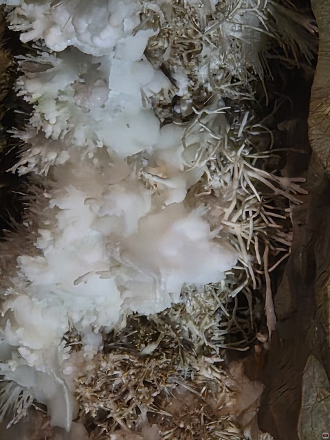 img00036.jpg