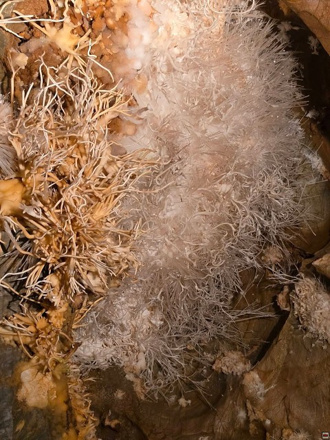 img00041.jpg
